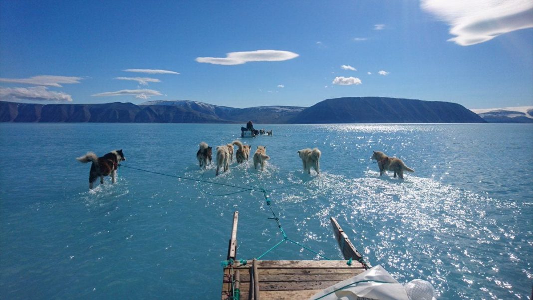 steffen olsen artic photo