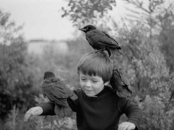 arles photographie 2019 Guillaume Simoneau foto bambino con uccelli neri