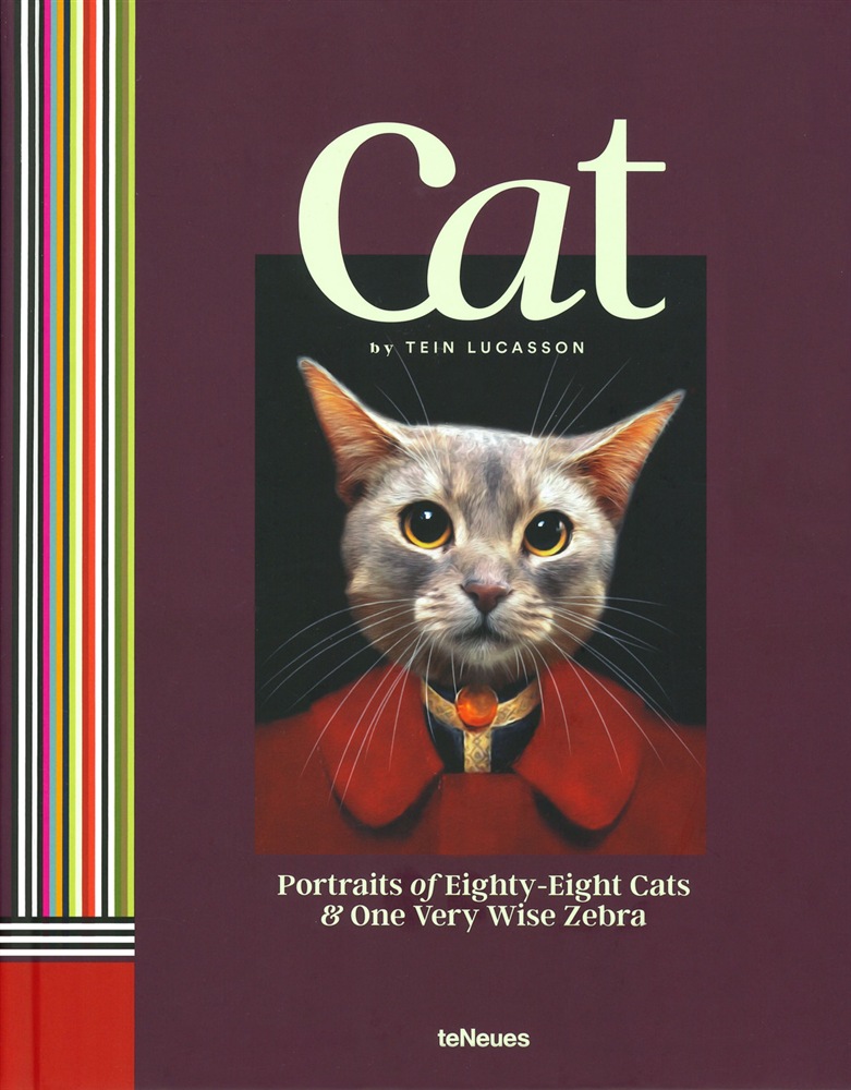 cat libro fotografico ritratti gatti