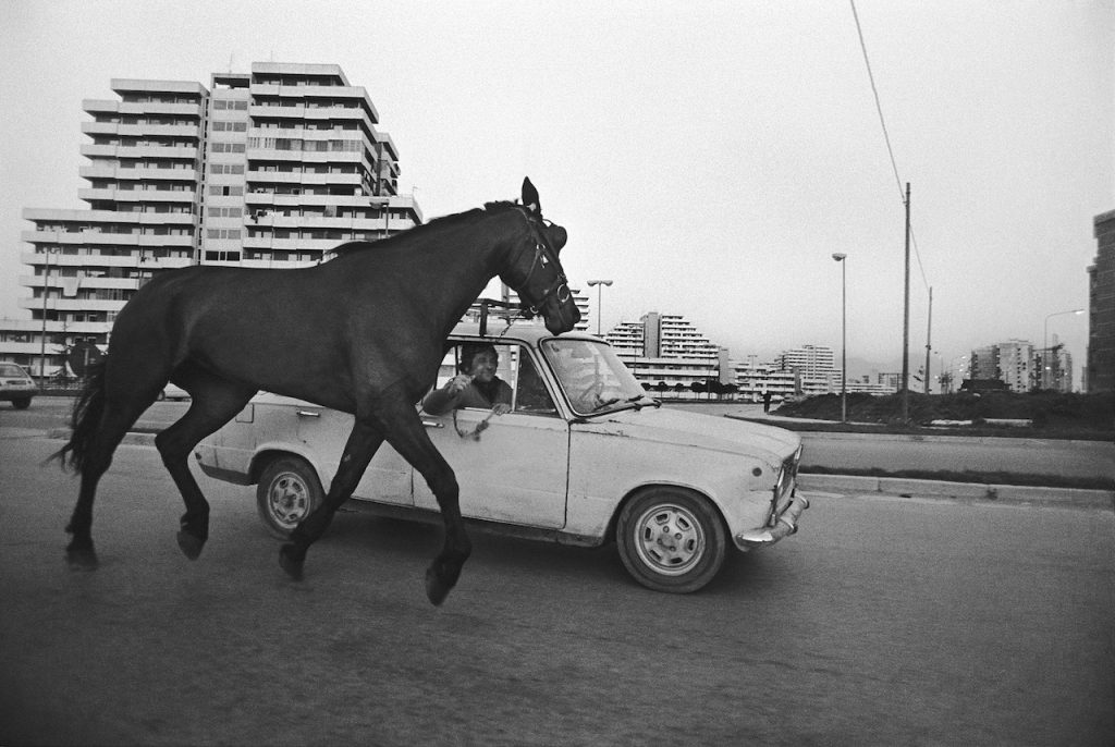 Francesco Cito Napoli The horse in tow 1985