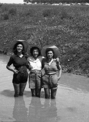 Gruppo di mondine in posa in un canale delle valli carpigiane databile 1947-1948 Fondo Gasparini