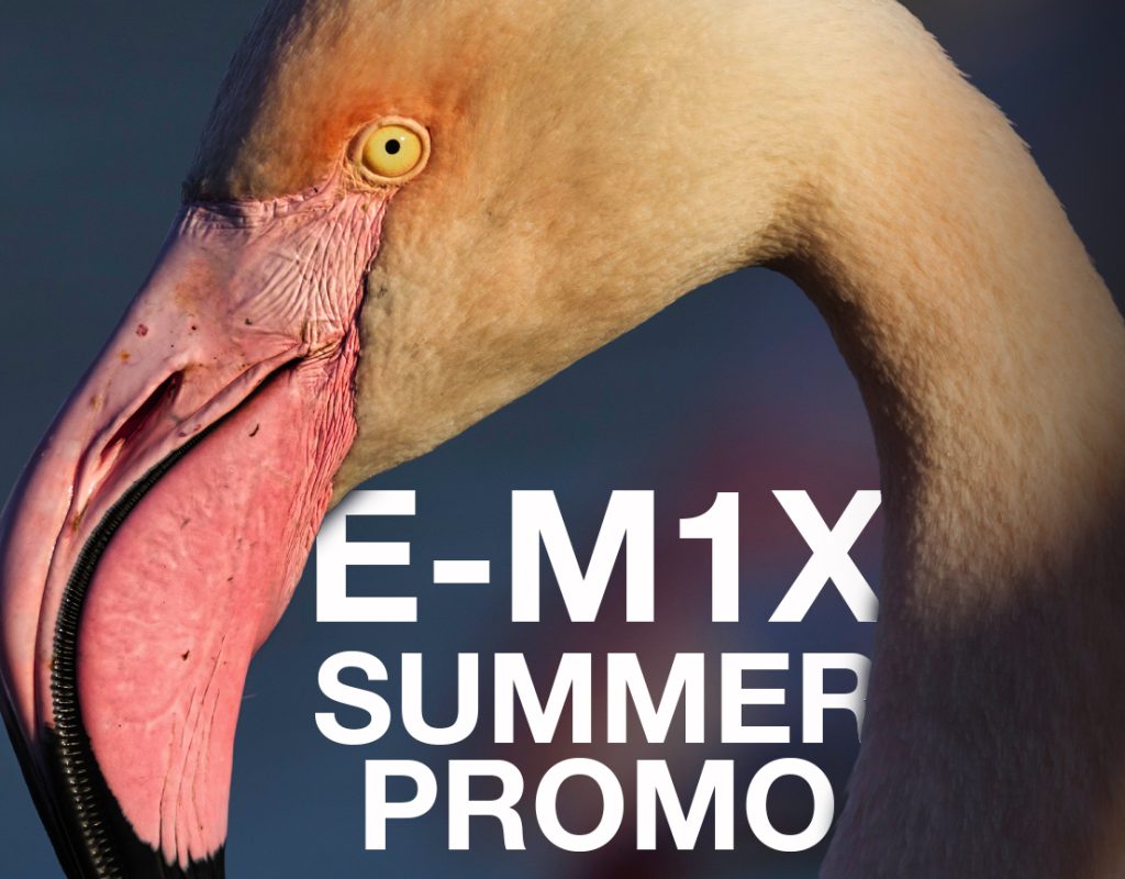 Summer promo fotocamera Olympus E-M1X